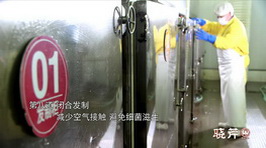 海參,大連海參,曉芹海參,海參加工 海參,大連海參,曉芹海參,海參加工