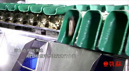 海參,大連海參,曉芹海參,海參加工 海參,大連海參,曉芹海參,海參加工