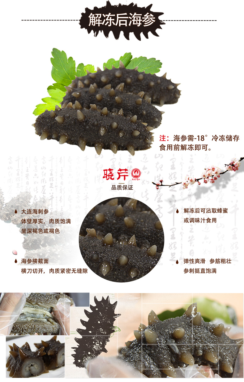 海參,即食海參,大連海參,曉芹海參,海參品牌,遼刺參,海鮮水產