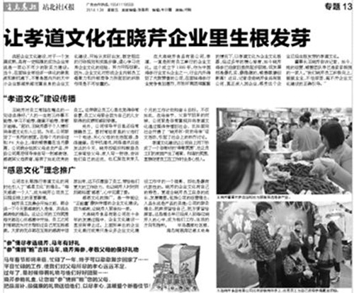 曉芹,海參,大連海參,遼寧海參,半島晨報 曉芹,海參,大連海參,遼寧海參,半島晨報