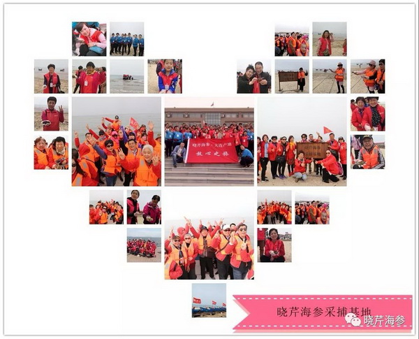 315,大連海參,曉芹海參,海參,海參質量,海參源產地.jpg 315,大連海參,曉芹海參,海參,海參質量,海參源產地.jpg