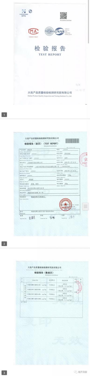 315,大連海參,曉芹海參,海參,海參質量,海參源產地.jpg 315,大連海參,曉芹海參,海參,海參質量,海參源產地.jpg